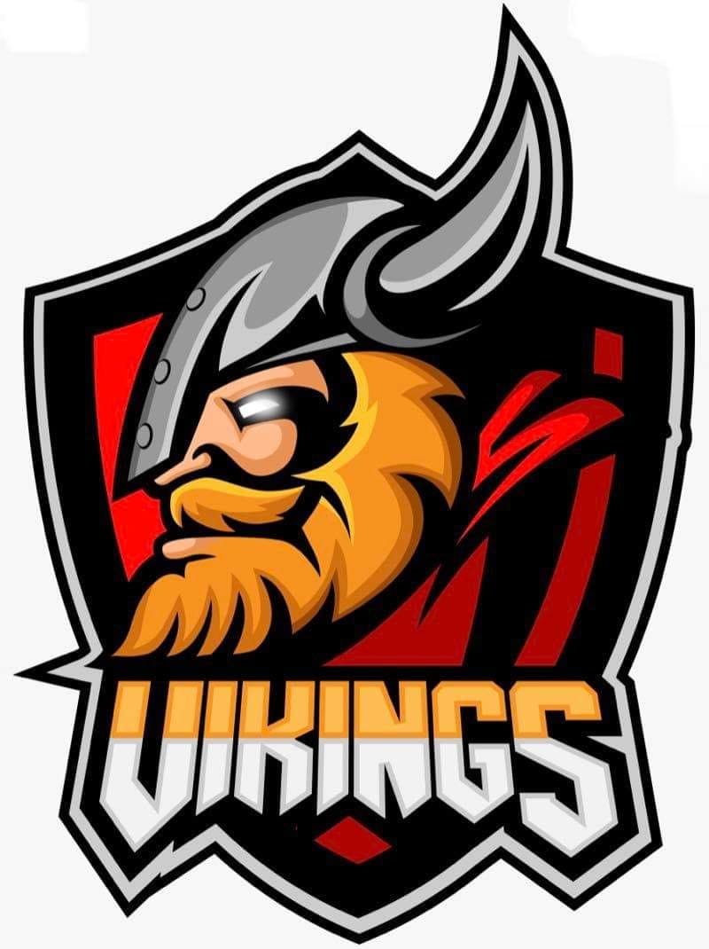 Vikings